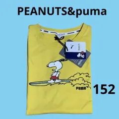 未使用　PUMA PEANUTS スヌーピー サーフアップ Tシャツ 黄 152のサムネイル