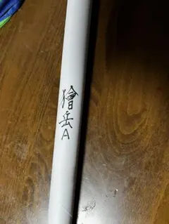 Item thumbnail for item 88010a7c-ef9b-404f-a3ff-d52e8ac2a3d5