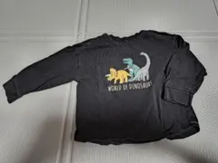 Item thumbnail for item 2435b46c-ac71-475d-93e5-40a3c3300753