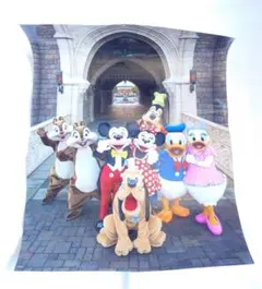 ディズニーリゾート イマジニングザマジック フォト ポスター