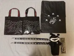 StrayKids スキズ アプグレ dominATE・MANIACまとめ売り