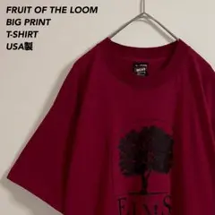 え*す様 《企業デザイン》USA製フルーツオブザルームプリントTシャツシングルス