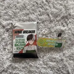 WIND BREAKER 桜遥