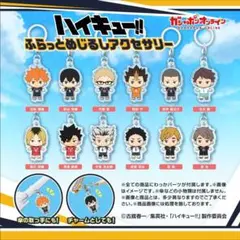 ハイキュー 田中 ガチャ