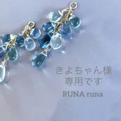 きよちゃん様専用ページです。