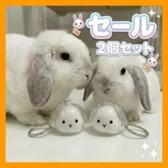 【2個垂れ耳うさぎ】 毛玉入れ キーホルダー 透明 シンプル3Ｇ