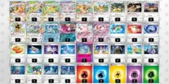 ポケモンカード ブイズバレットデッキ
