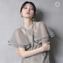 【希少商品】シアー素材フラワー刺繍ワンピースドレス