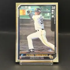 柳町達 10枚限定 EPOCH 2023 NPB 福岡ソフトバンクホークス