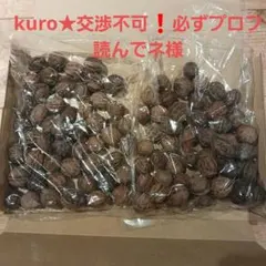 오니 월넛