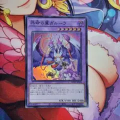遊戯王　共命の翼　ガルーラ　スーパー