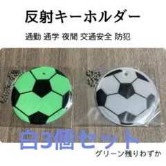 Item thumbnail for item 4aaa0a79-3851-4166-b2ee-fad15b1aeca4