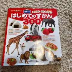 はじめてのずかん300 : BCキッズおなまえいえるかな? : 英語つき : …
