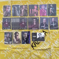 LIKIYA フォトカード トレカ セット