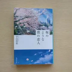 桜のような僕の恋人