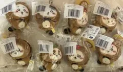 ちいかわ たぬきだもんくじ C賞 マスコット コンプ 8種