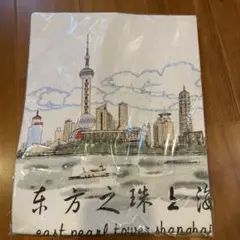 Item thumbnail for item 883c4b11-f41c-47e8-b21e-f67ab5d483f8