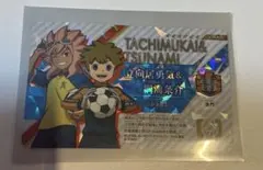 イナズマイレブン イナイレ イレブンライセンス 立向居勇気&綱海条介