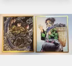 劇場版 鬼滅の刃 無限城編 アクリル色紙 WEBSHOPくじ 冨岡義勇 鬼滅の刃 無限城編 アクリル色紙 webshop くじ 冨岡義勇 竈門炭治郎