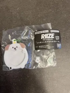 BANDAI RIIZE カプセルトイキーホルダー/モンリョンイ/ANTON