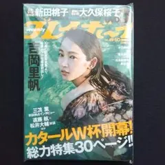 Item thumbnail for item 2b475ab5-57b6-40a9-bc76-40ba5a178bf1