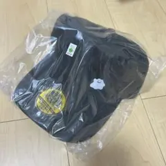 ぽこあポケモン エディオン 特典『オリジナルキャップ（メタモン）』