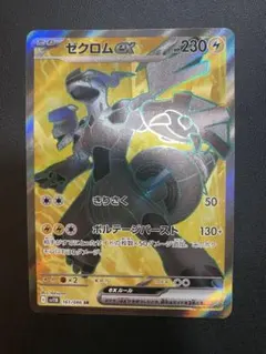 2026年最新】ゼクロム ex srの人気アイテム - メルカリ