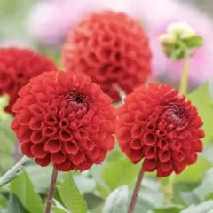 テンテン様 リクエスト 2点 まとめ商品