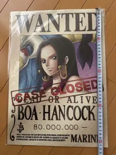 ワンピース　ボア.ハンコック　ポスター