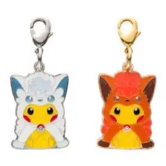 ポケモンセンター ホウオウ&ルギアポンチョのピカチュウ メタル