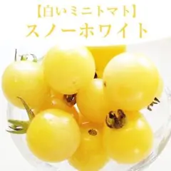 田崎屋様 リクエスト 4点 まとめ商品