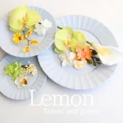 胡蝶蘭　カラー　ヘッドパーツ造花　アーティフィシャルフラワー　グリーンイエロー