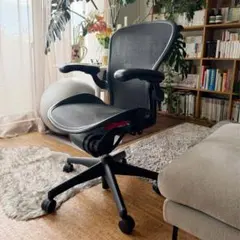 ハーマンミラー アーロンチェア ポスチャーフィットBサイズ フル装備 前傾機能