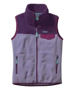 Patagonia Synchilla シンチラベストXS（日本M）　フリース