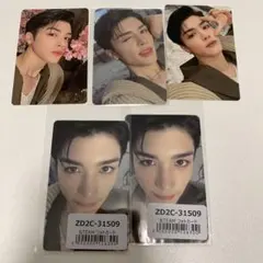 &TEAM 雪明かり　トレカ　マキ　maki ５枚セット