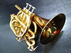 ユーフォニアム MARCATO EP-591GB - メルカリ