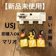 【新品未使用】 USJ/スーパーニンテンドーワールド/キーチェーン/3個セット