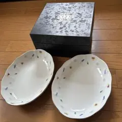 未使用品　ADAM& EVEパスタ皿2個セット 箱付き