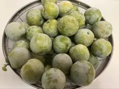 埼玉産 プラム すもも 2.2kg以上 ソルダムのサムネイル