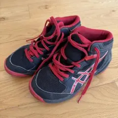 リン様専用　asics バスケットボールシューズ 20.0cm