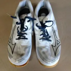 Item thumbnail for item 1fdfab95-68dd-453b-820a-d62d5fb47838