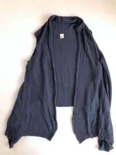 ジレのサムネイル
