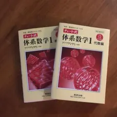 チャート式 体系数学1