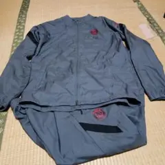 Item thumbnail for item 3124877b-9213-4c76-8cde-6608a9c28efe