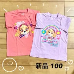 【新品】スカイ Tシャツ2枚セット 100