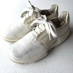 Item thumbnail for item d8727b15-5577-4245-b960-c57baaf18380