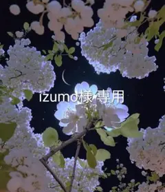 izumo様 リクエスト 2点 まとめ商品