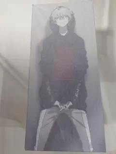 最終値下げ！ 渚カヲル　フィギュア　ラジオエヴァ