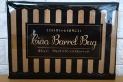 ちゃお 2WAYラウンドボストンバッグ 付録