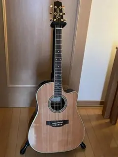 2026年最新】takamine アコースティックギターの人気アイテム - メルカリ